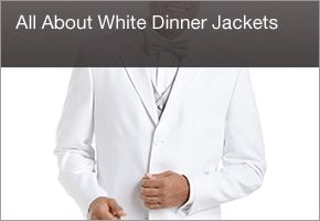 Featured Video / Image