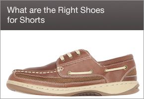 Featured Video / Image