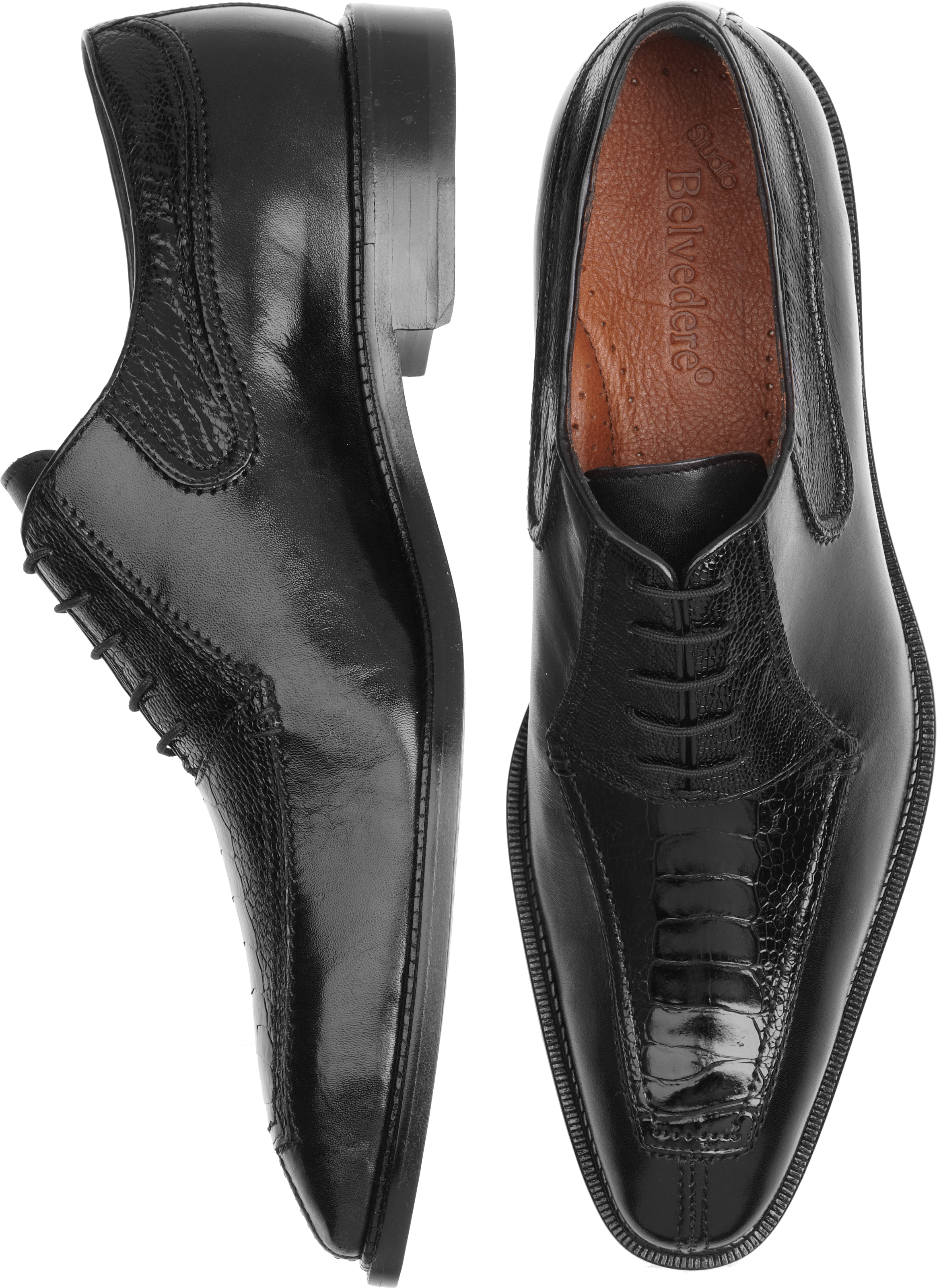 Belvedere Dino Black Ostrich Oxfords