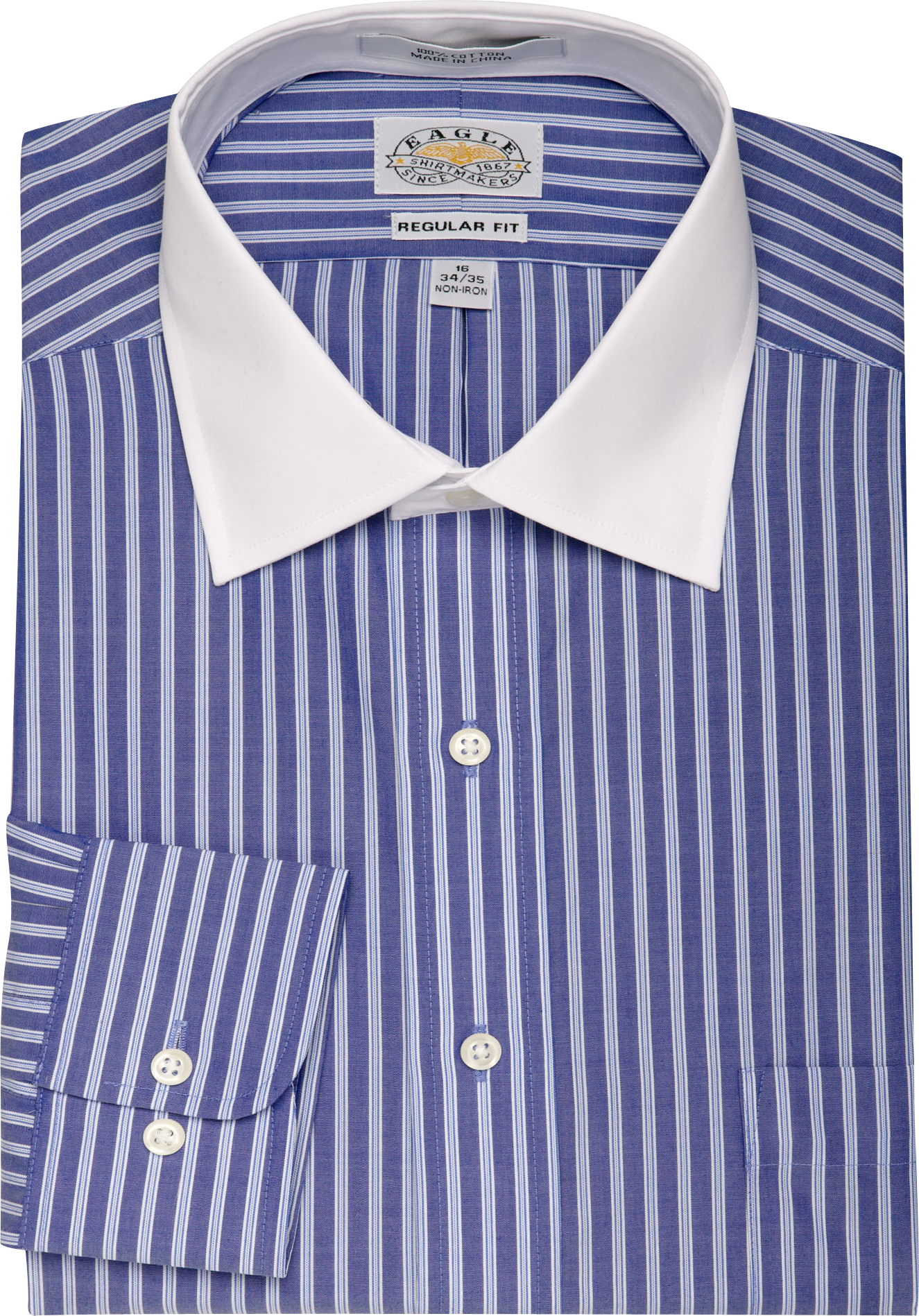 Eagle Atlantic Stripe Dress Shirt
