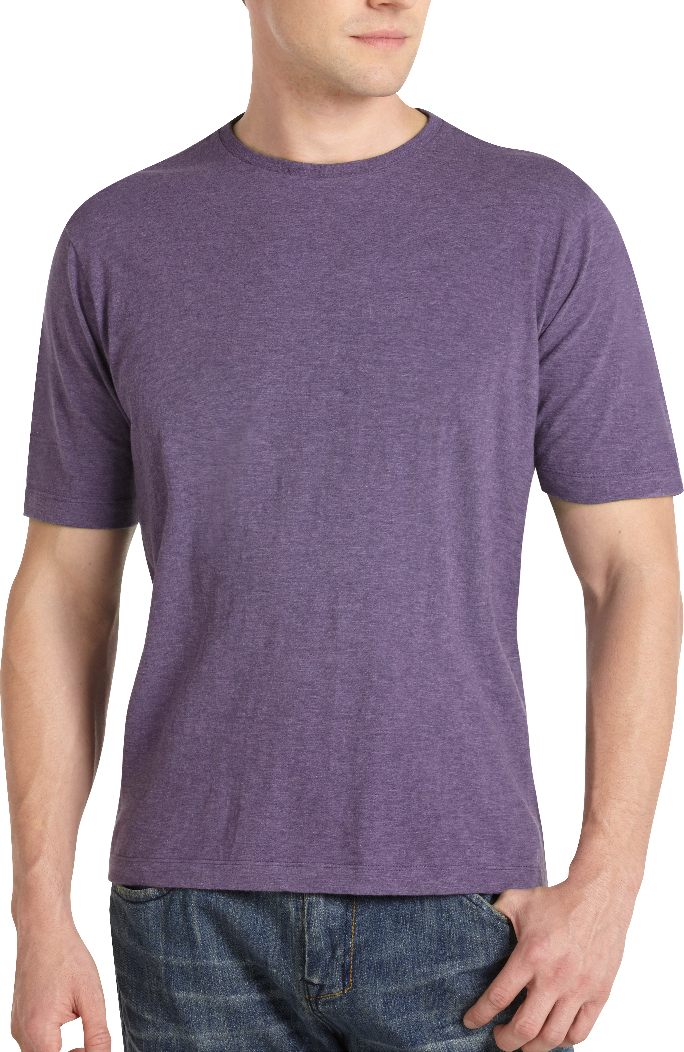 Pronto Blue Crewneck Modern Fit T-Shirt, Purple