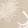 color-fpo