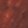 color-fpo