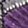 color-fpo