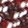 color-fpo
