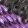 color-fpo
