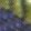 color-fpo