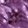 color-fpo