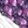 color-fpo