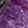color-fpo
