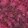 color-fpo