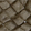 color-fpo