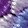 color-fpo
