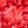 color-fpo