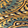 color-fpo