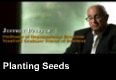 Planting Seeds