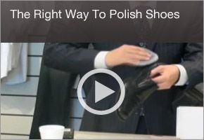 Featured Video / Image