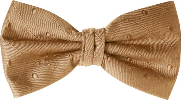 Bella Luna Golden Bow Tie (8903BLGDN)