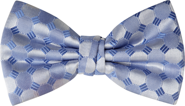 Bellagio Cornflower Bow Tie (8904BGCNF)