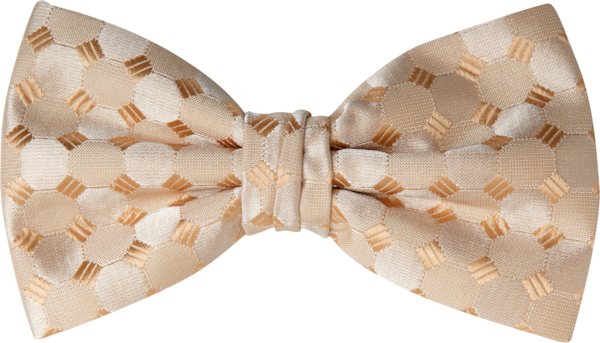 Bellagio Honey Gold Bow Tie (8904BGHON)