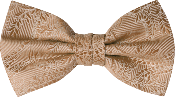 Tuscany Bisque Bow Tie (8906TUBIS)