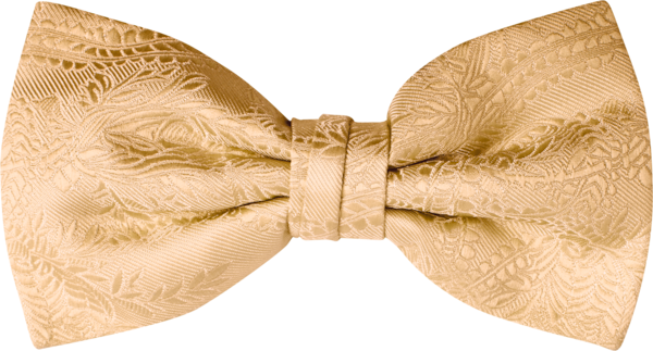 Vegas Gold Mens Bow Tie