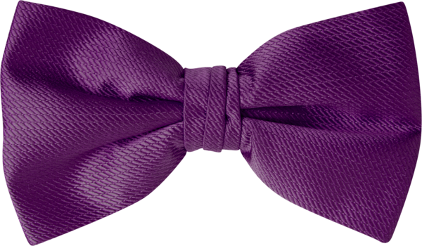 Venice Amethyst Bow Tie (8908VNAMT)