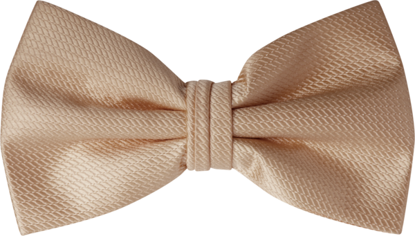 Venice Champagne Bow Tie Tux & Suit Rentals | Men's Wearhouse