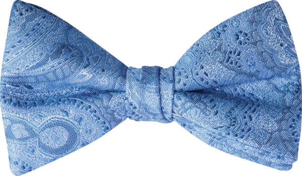 Duet Bluebird Paisley Bow Tie (8909DPBLB)