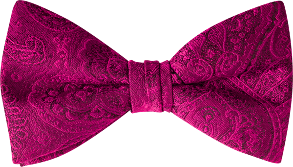 Duet Cassis Paisley Bow Tie (8909DPCAS)