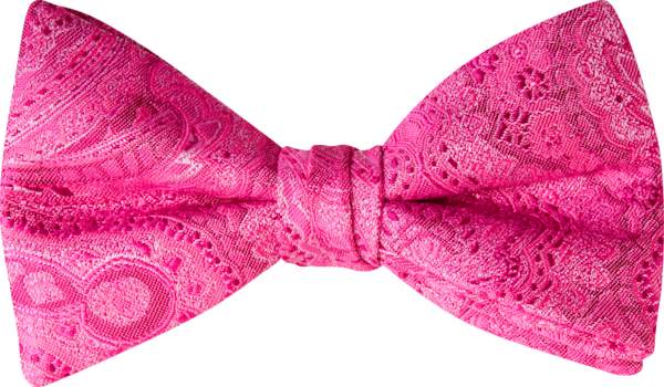 Duet Fuchsia Paisley Bow Tie (8909DPFSA)