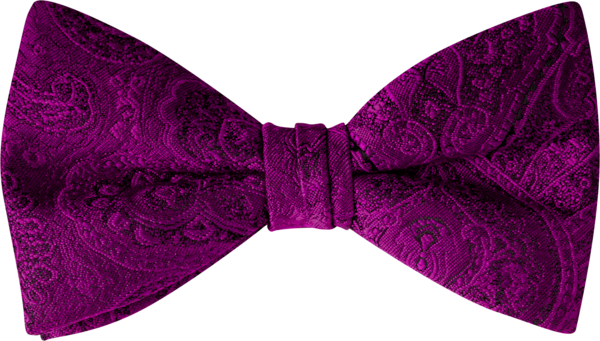 Duet Plum Paisley Bow Tie (8909DPPLM)