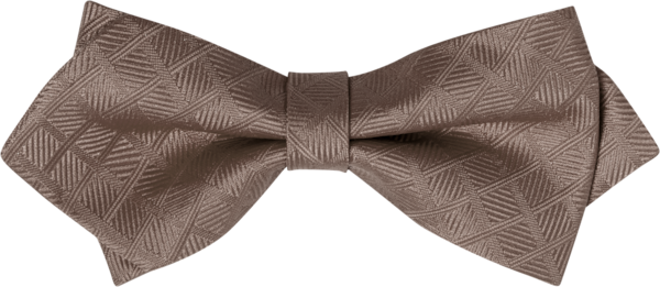 Monaco Biscotti Fancy Bow Tie (8965MFBSC)