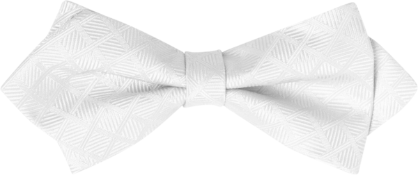 Monaco White Fancy Bow Tie (8965MFWHT)