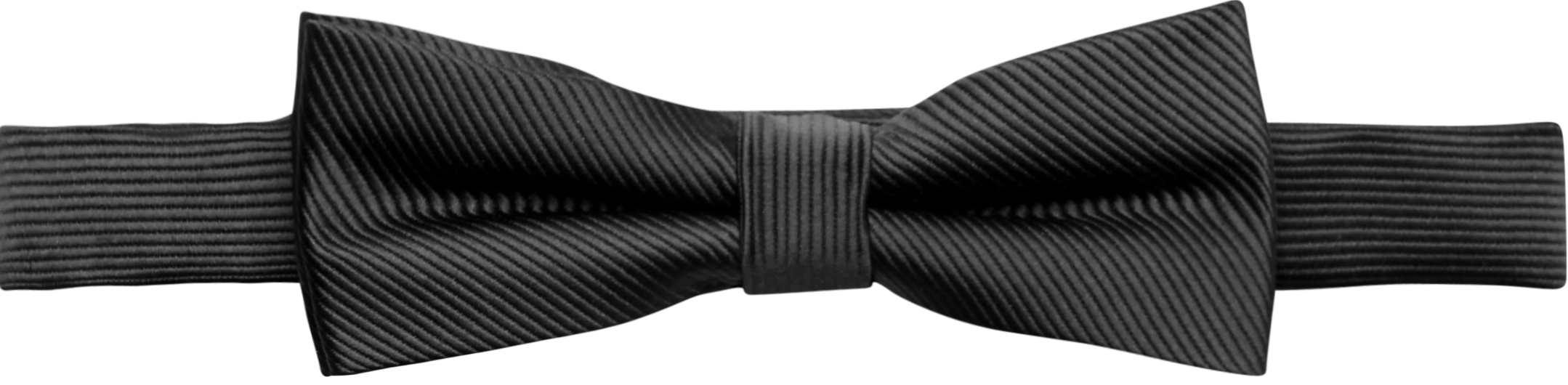 calvin klein bow tie